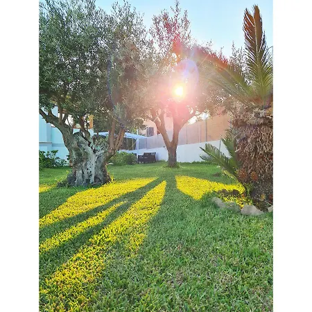 Olea In Villa *
